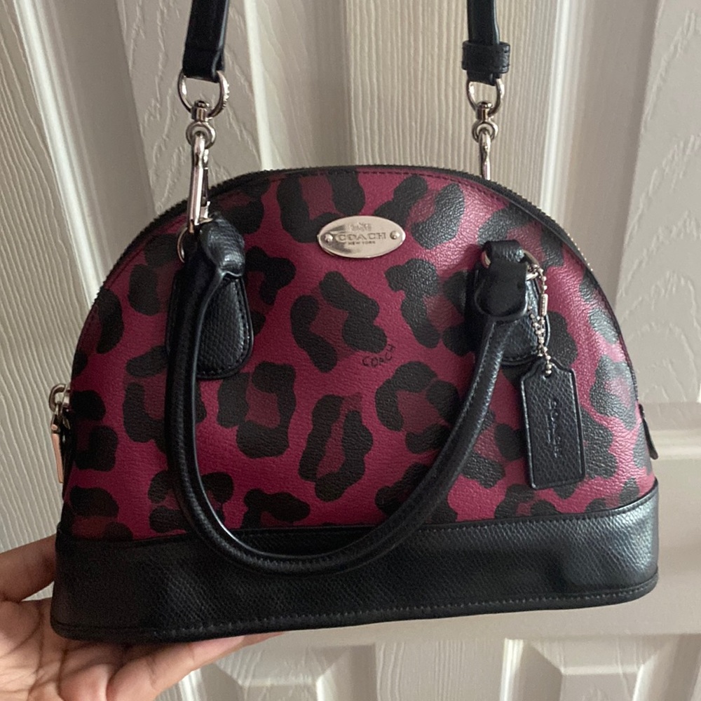 Small crossbody leopard print coach purse